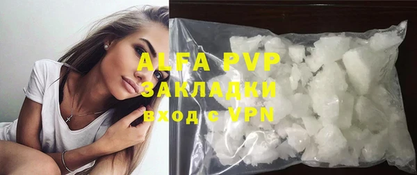 прущие грибы Инта