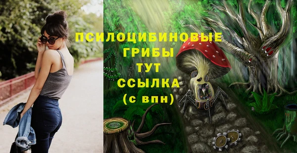 трава Балахна