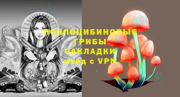 кокс Баксан