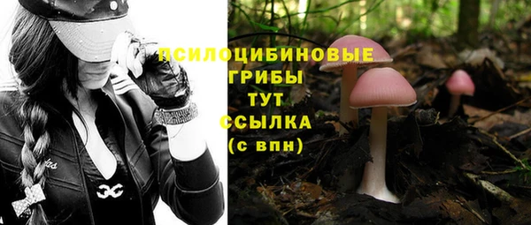 трава Балахна