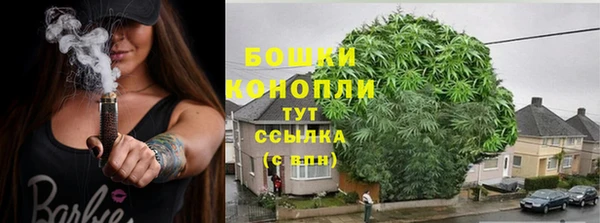 трава Балахна