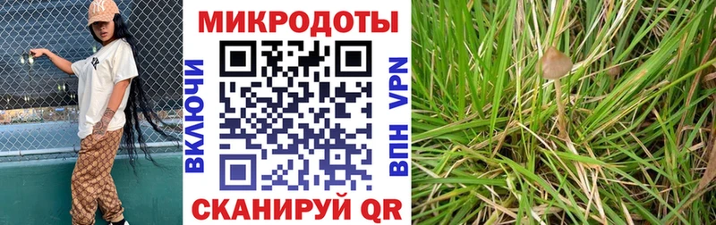 Галлюциногенные грибы прущие грибы  OMG рабочий сайт  Велиж 